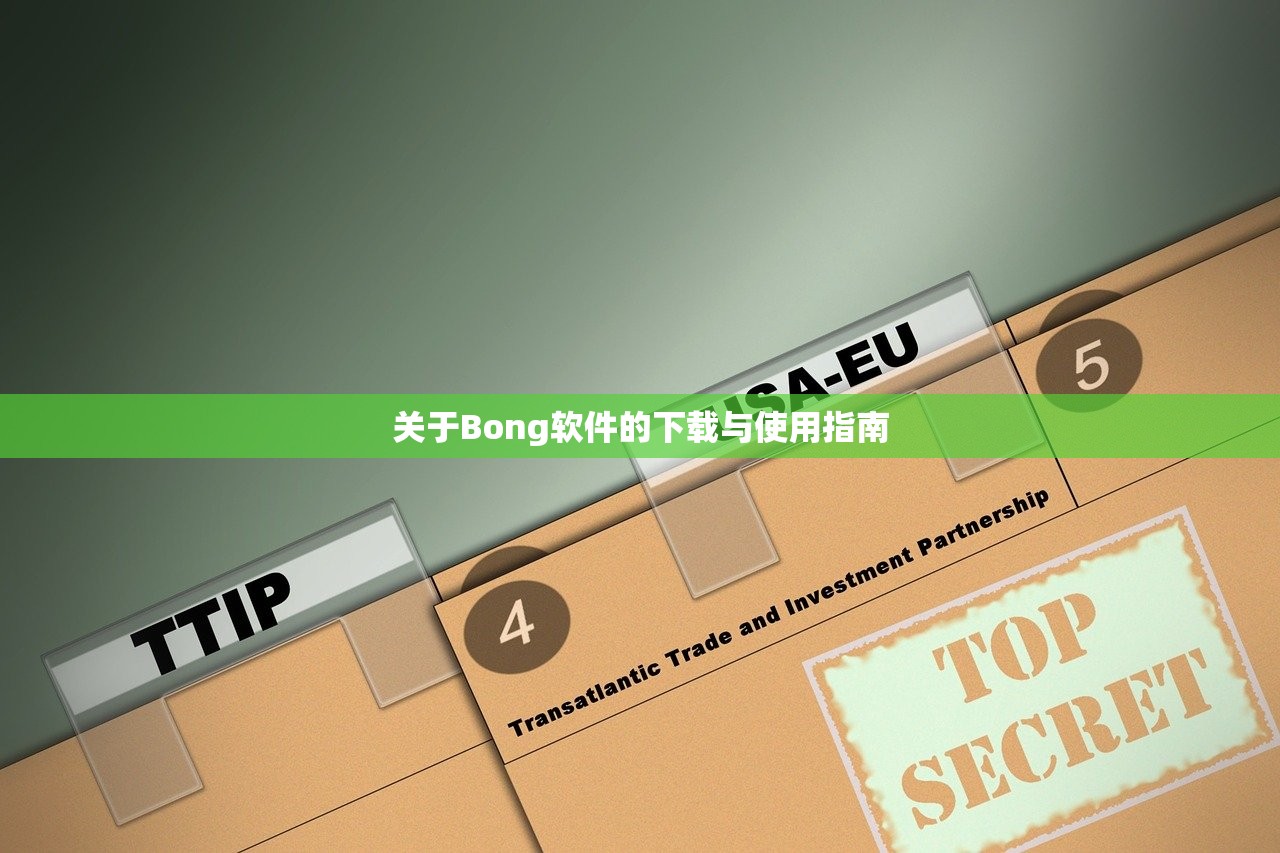 关于Bong软件的下载与使用指南