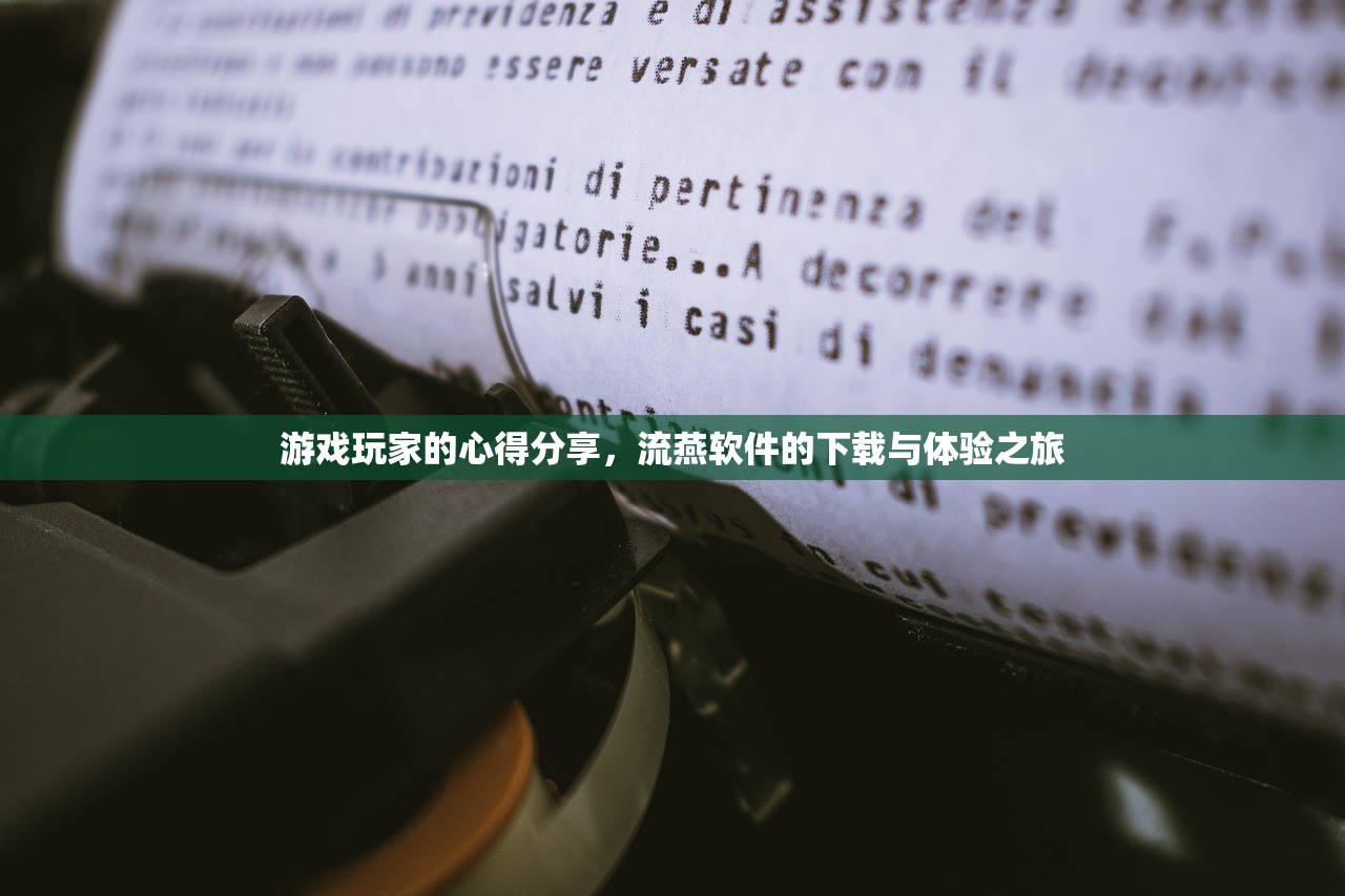 游戏玩家的心得分享，流燕软件的下载与体验之旅
