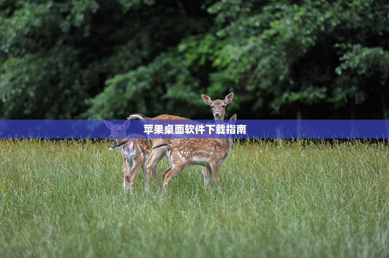 苹果桌面软件下载指南