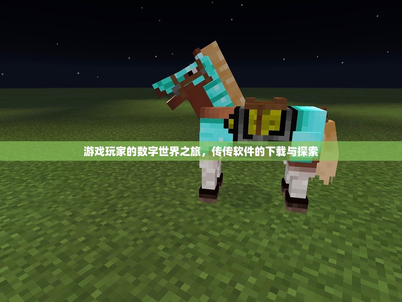 游戏玩家的数字世界之旅，传传软件的下载与探索