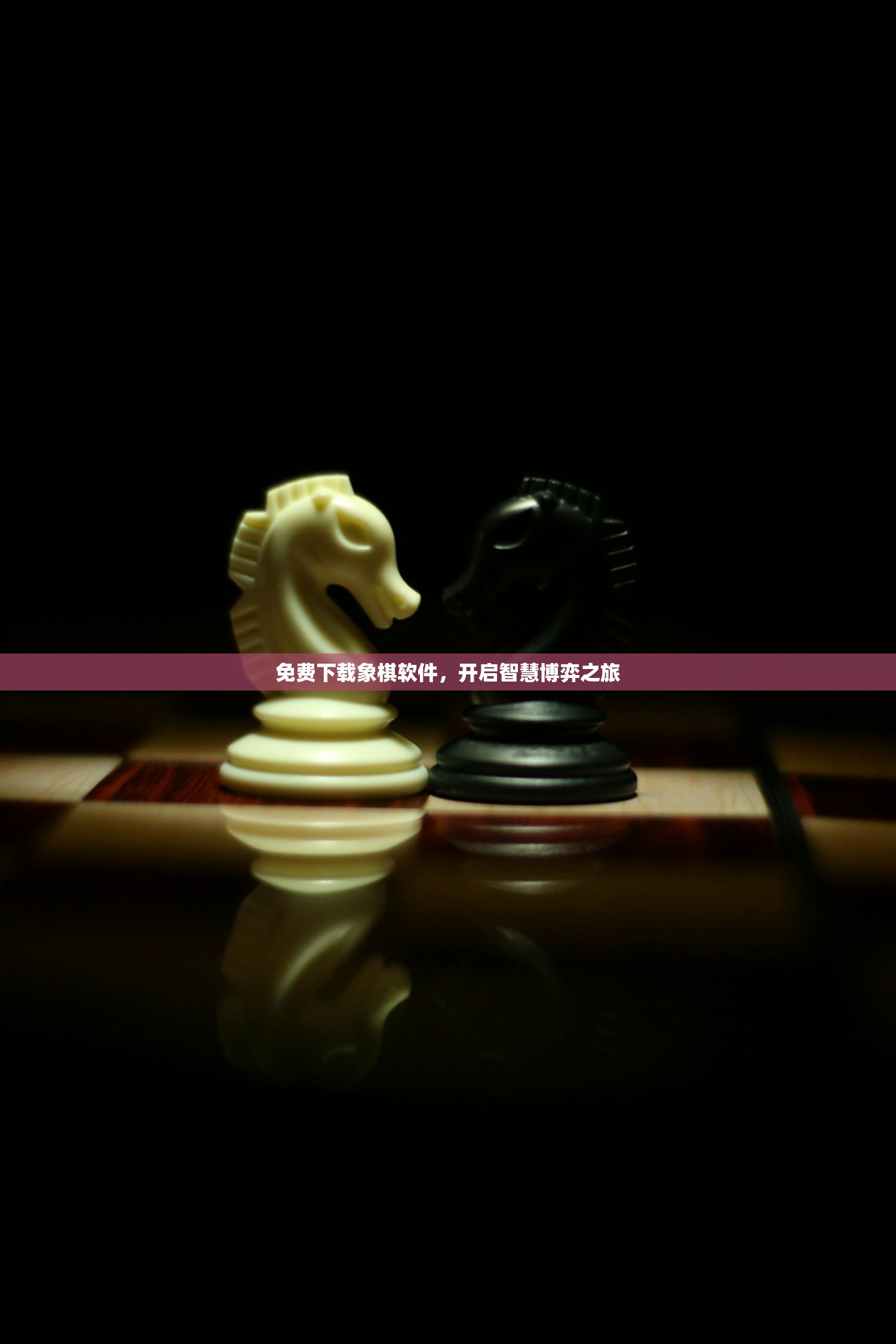 免费下载象棋软件，开启智慧博弈之旅