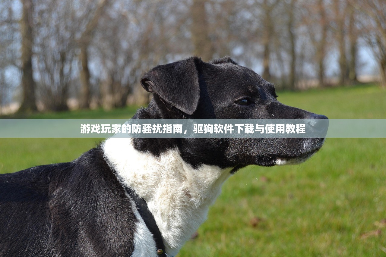 游戏玩家的防骚扰指南，驱狗软件下载与使用教程