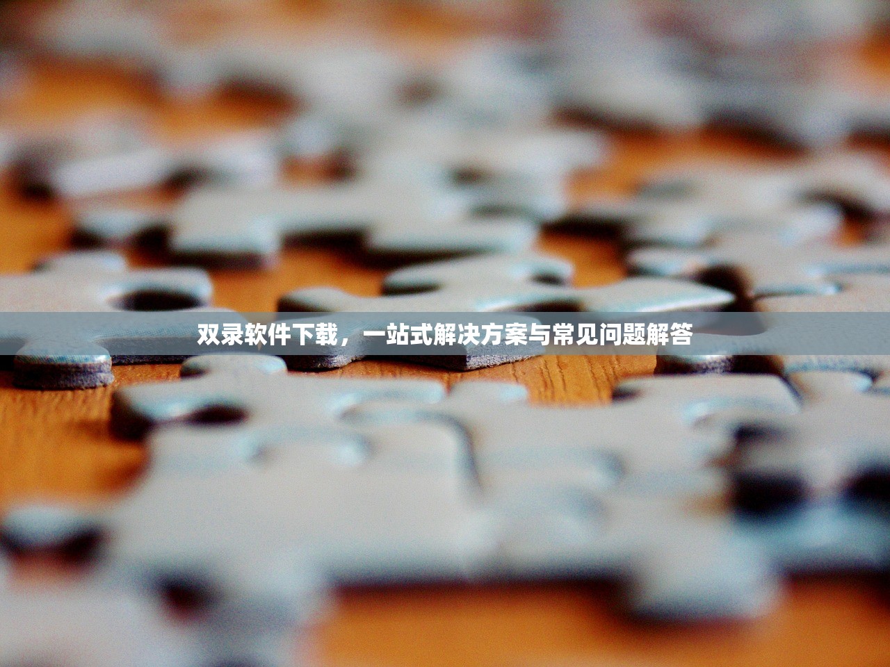 双录软件下载，一站式解决方案与常见问题解答