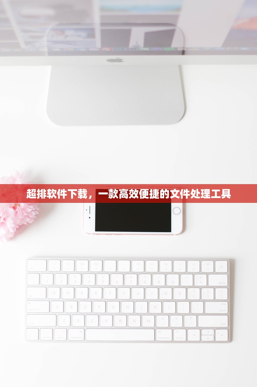 超排软件下载，一款高效便捷的文件处理工具