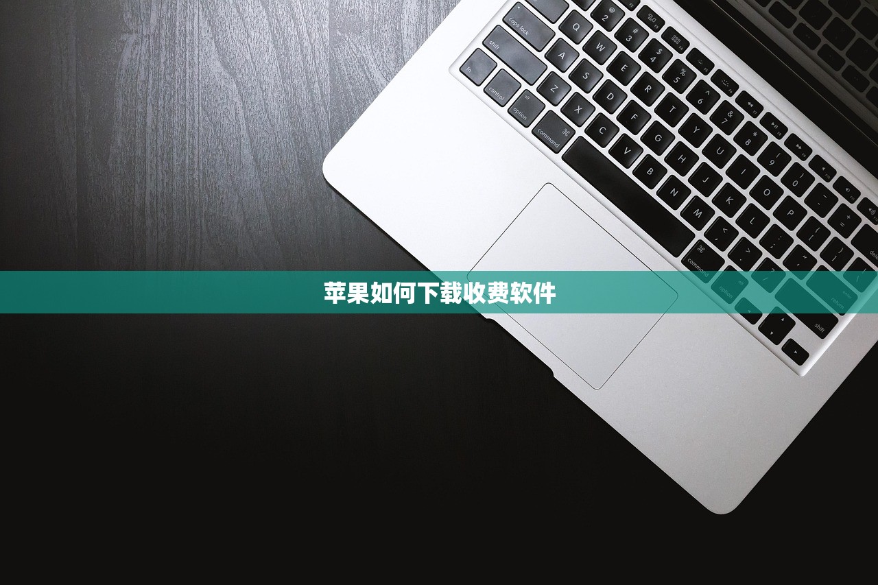 苹果如何下载收费软件