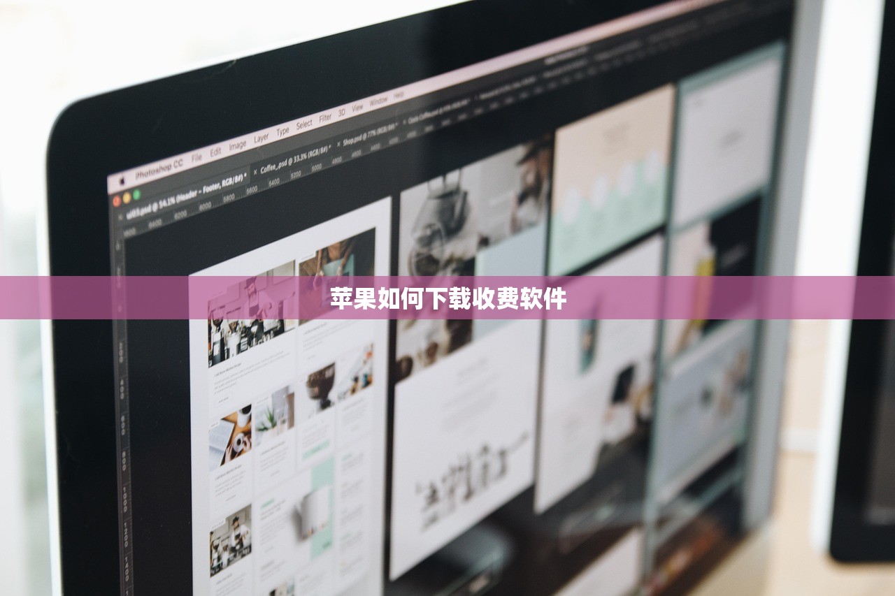 苹果如何下载收费软件