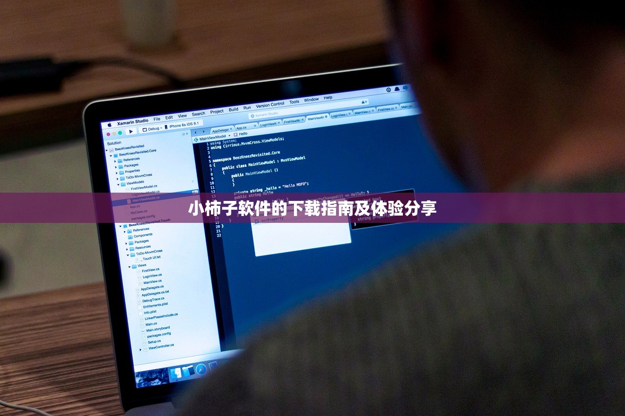 小柿子软件的下载指南及体验分享