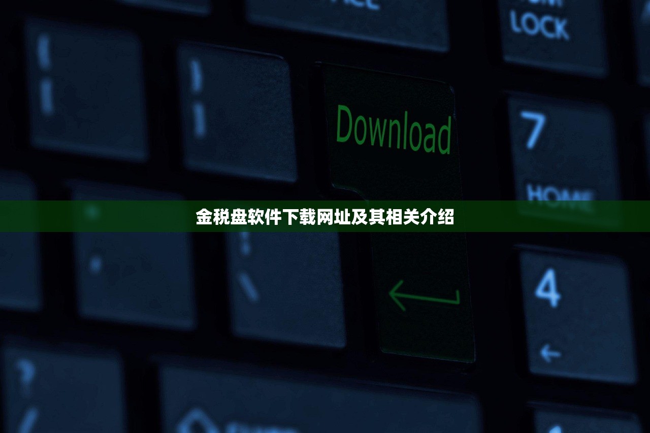 金税盘软件下载网址及其相关介绍