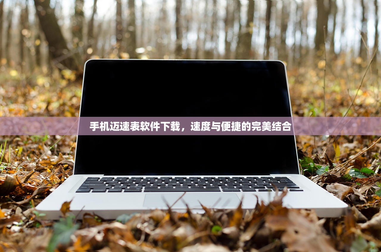 手机迈速表软件下载，速度与便捷的完美结合