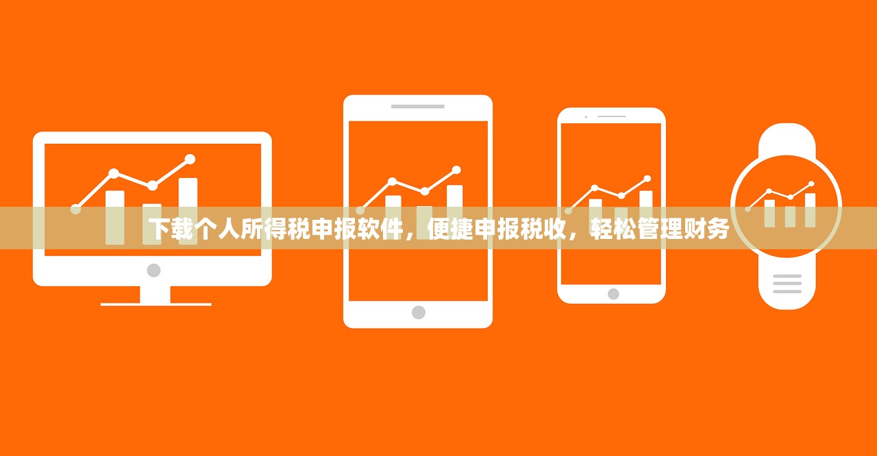 下载个人所得税申报软件，便捷申报税收，轻松管理财务