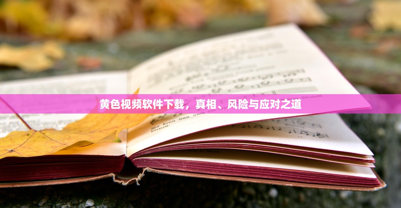 黄色视频软件下载，真相、风险与应对之道
