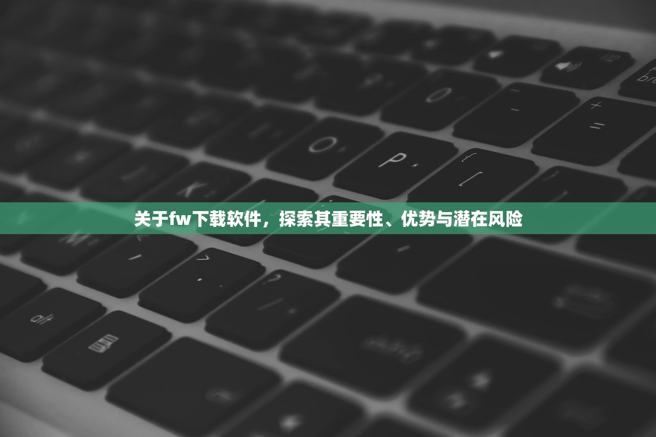 关于fw下载软件，探索其重要性、优势与潜在风险