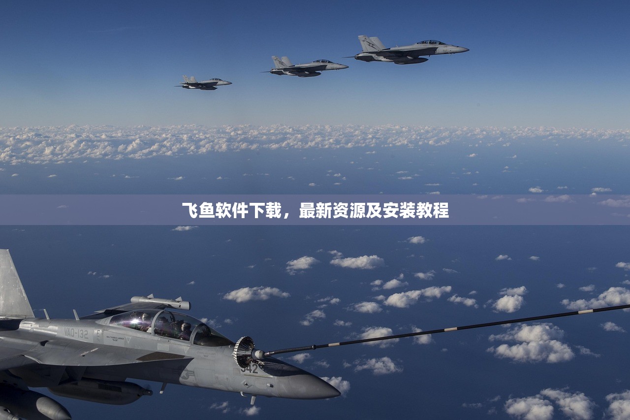 飞鱼软件下载，最新资源及安装教程