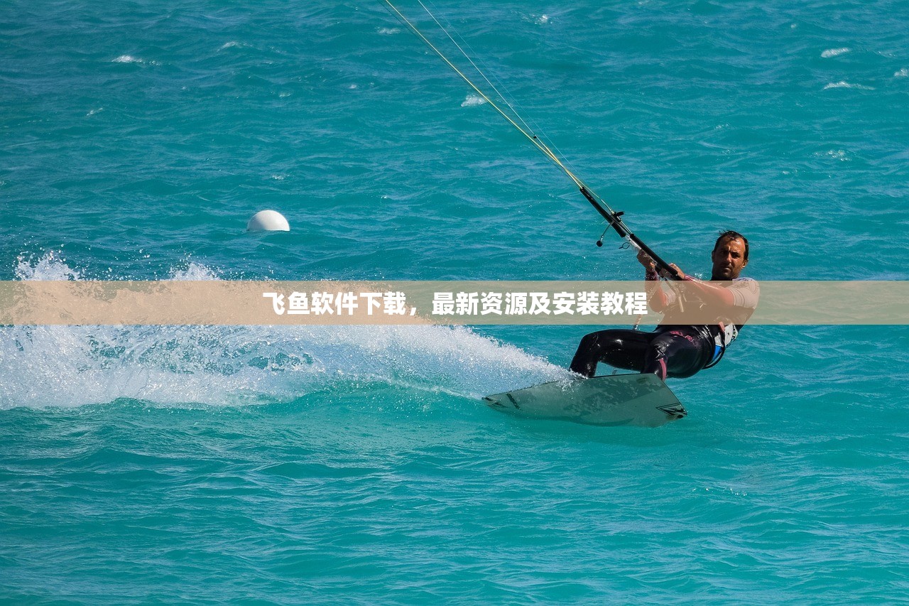 飞鱼软件下载，最新资源及安装教程