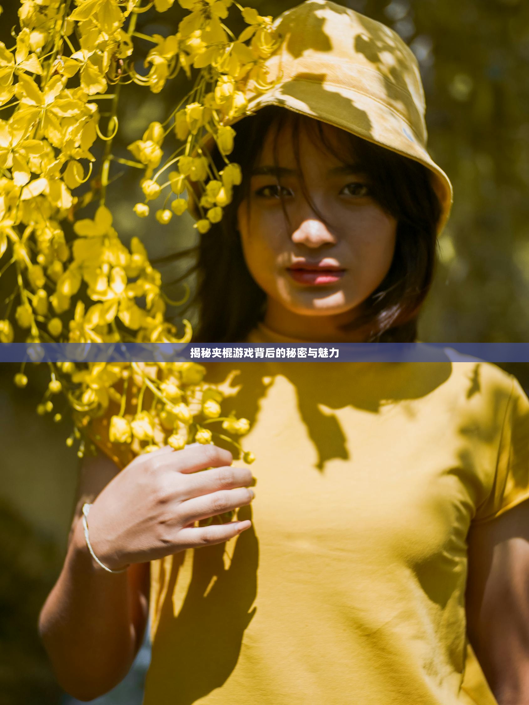揭秘夹棍游戏背后的秘密与魅力