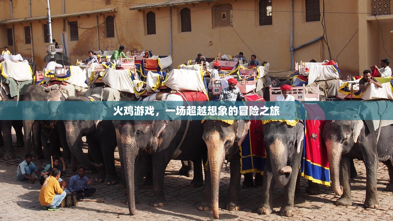火鸡游戏，一场超越想象的冒险之旅