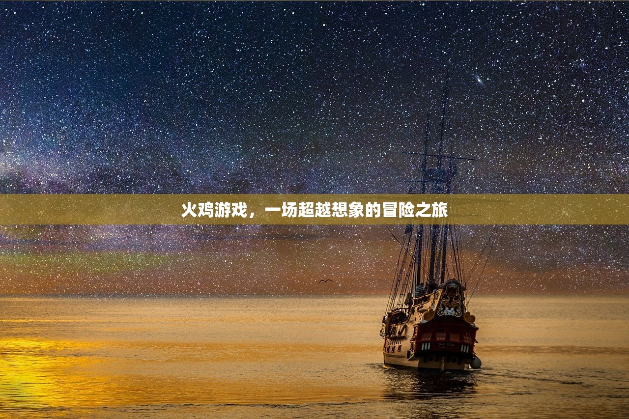 火鸡游戏，一场超越想象的冒险之旅