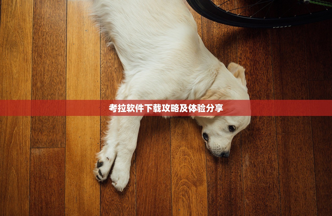 考拉软件下载攻略及体验分享