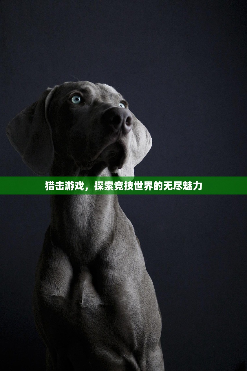 猎击游戏，探索竞技世界的无尽魅力