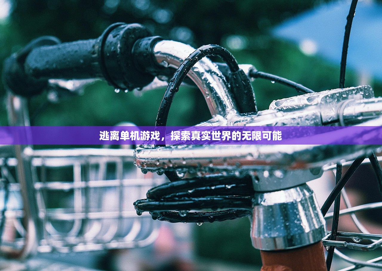 逃离单机游戏，探索真实世界的无限可能