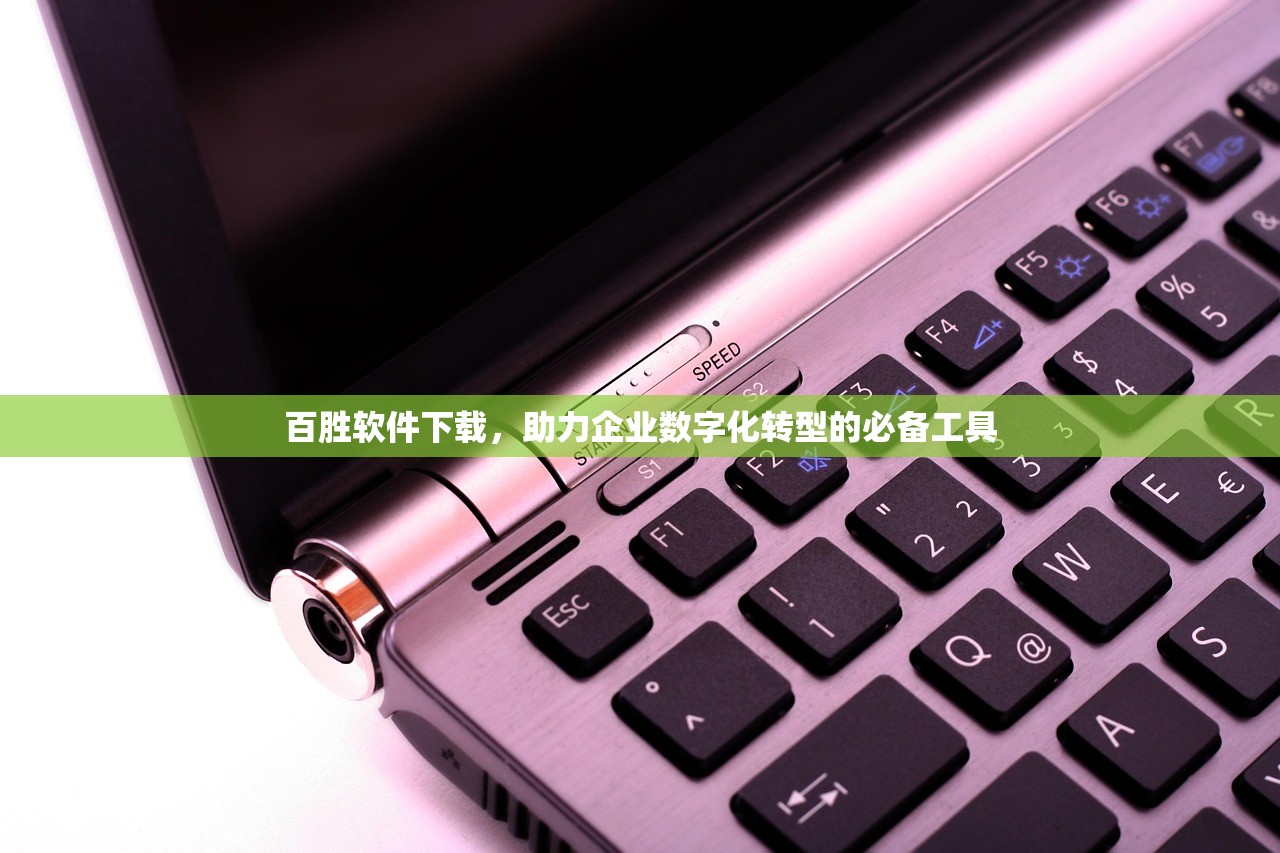 百胜软件下载，助力企业数字化转型的必备工具