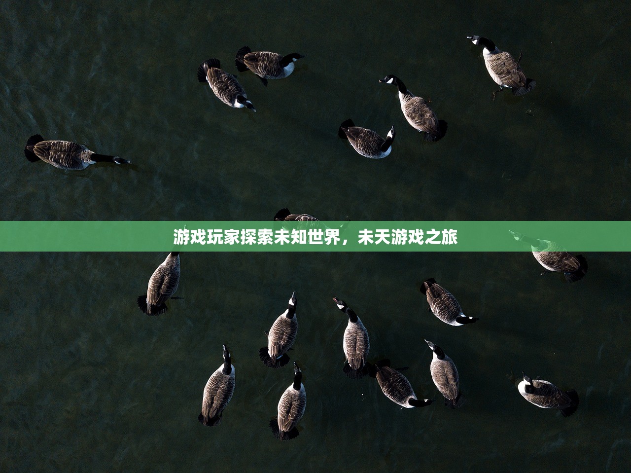 游戏玩家探索未知世界，未天游戏之旅