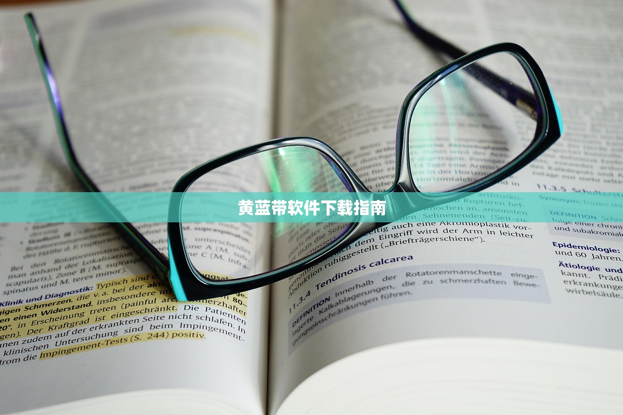 黄蓝带软件下载指南