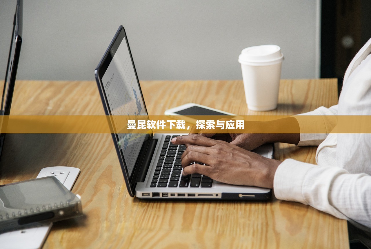 曼昆软件下载，探索与应用