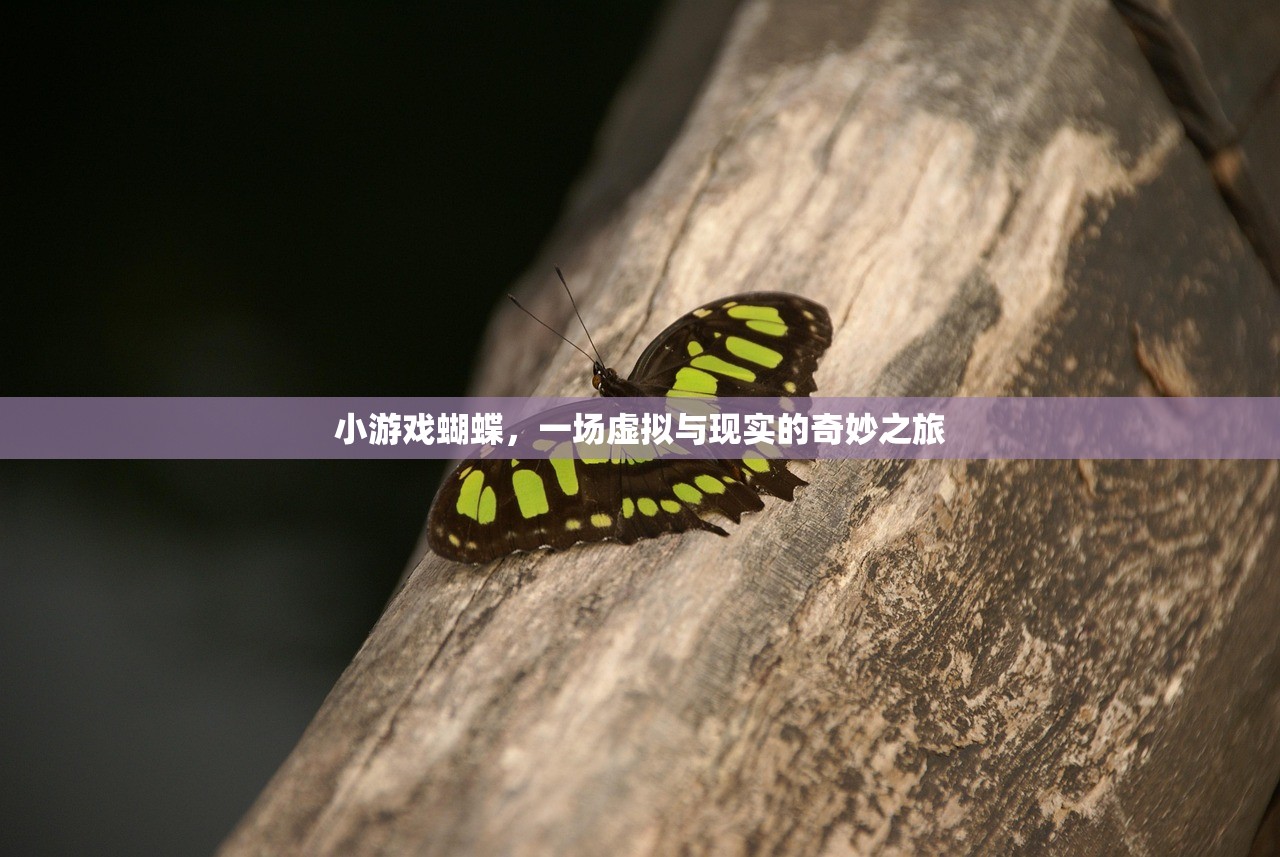 小游戏蝴蝶，一场虚拟与现实的奇妙之旅