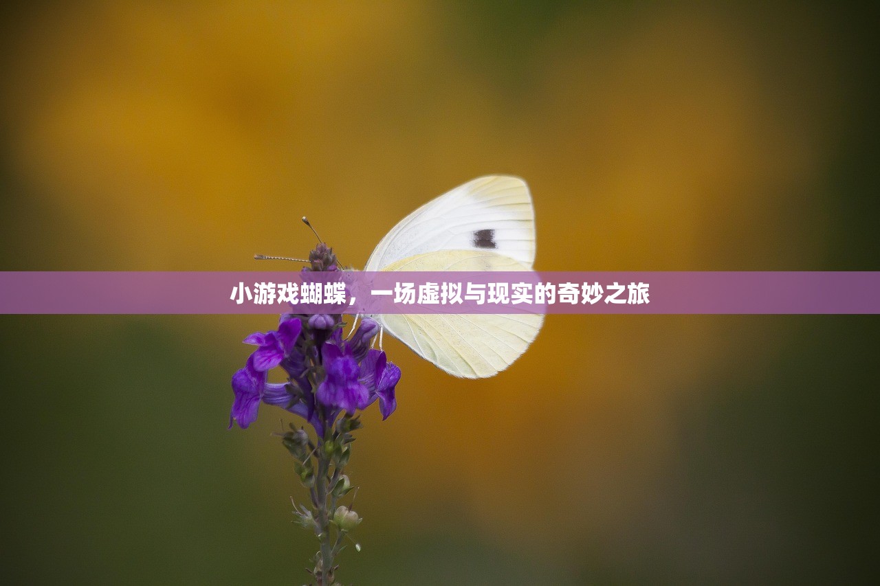 小游戏蝴蝶，一场虚拟与现实的奇妙之旅