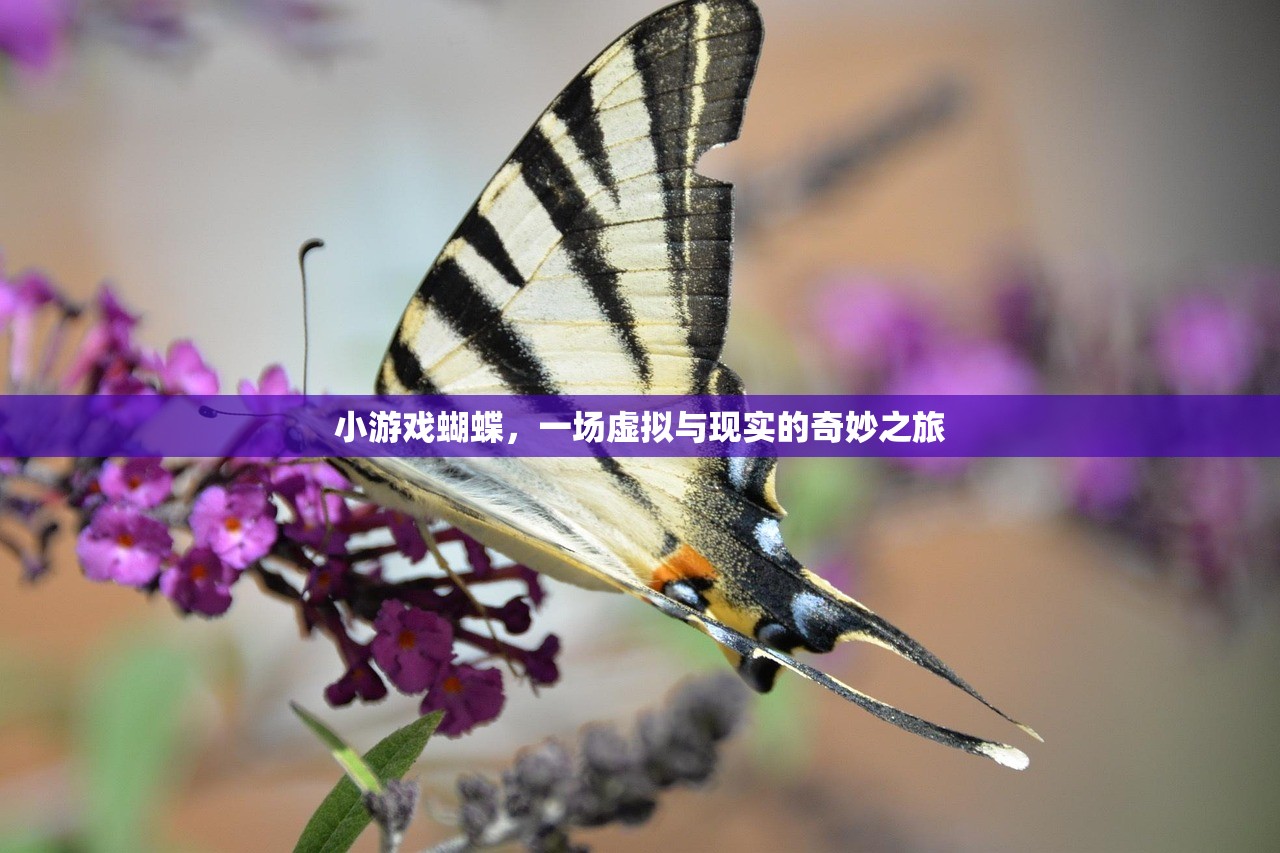 小游戏蝴蝶，一场虚拟与现实的奇妙之旅