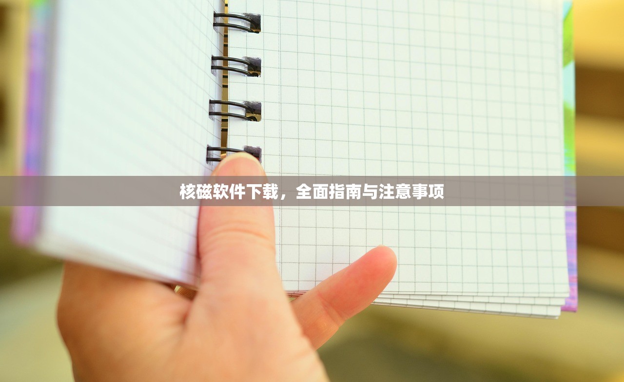 核磁软件下载，全面指南与注意事项