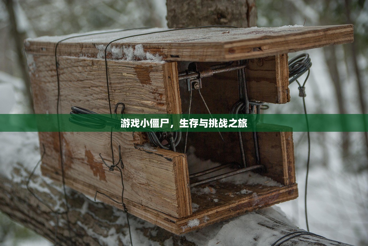 游戏小僵尸，生存与挑战之旅