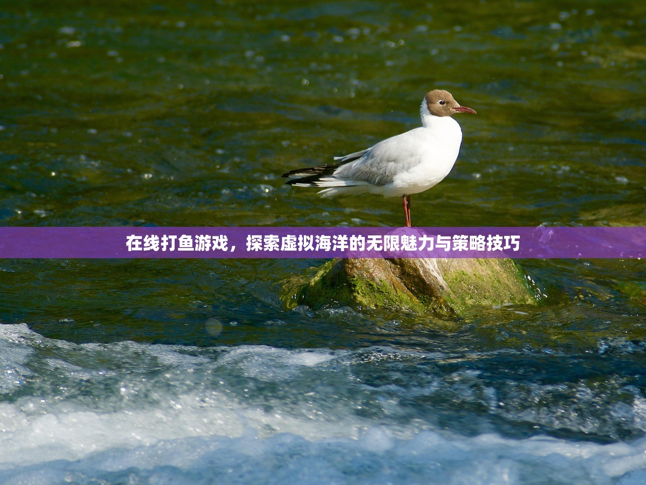 在线打鱼游戏，探索虚拟海洋的无限魅力与策略技巧
