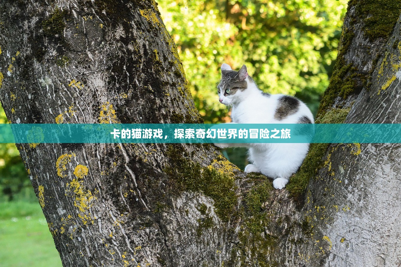 卡的猫游戏，探索奇幻世界的冒险之旅