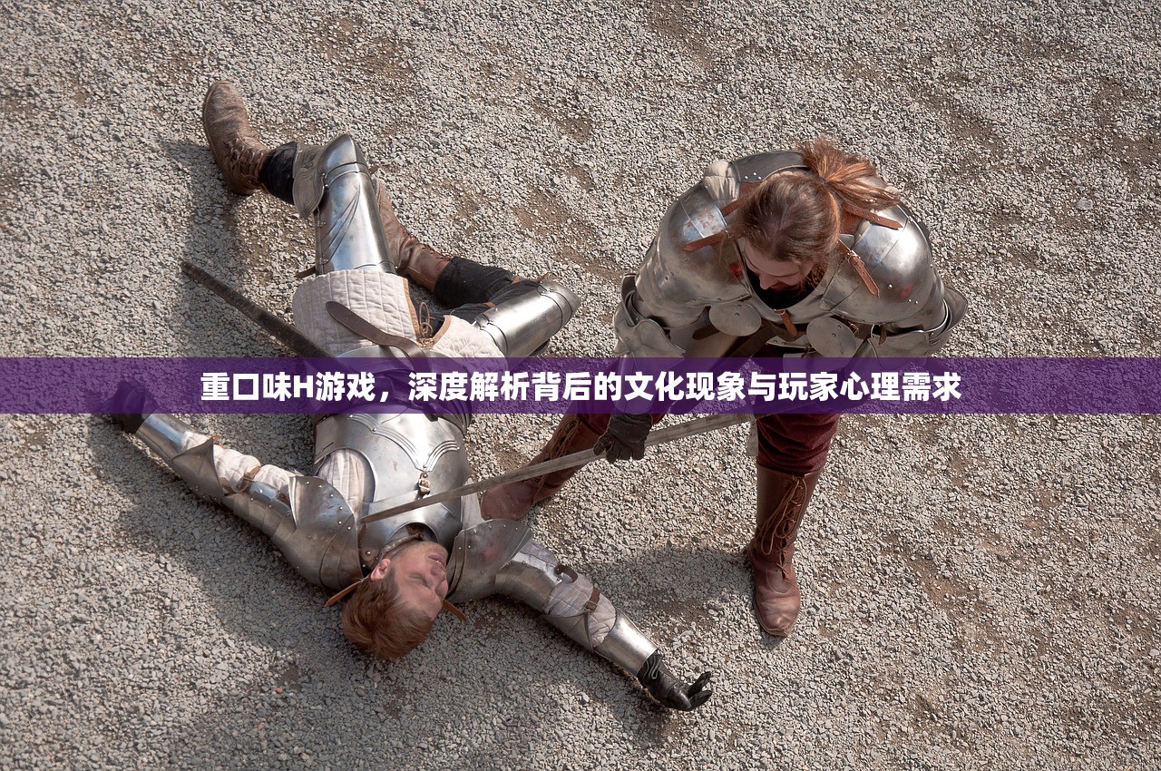 重口味H游戏，深度解析背后的文化现象与玩家心理需求