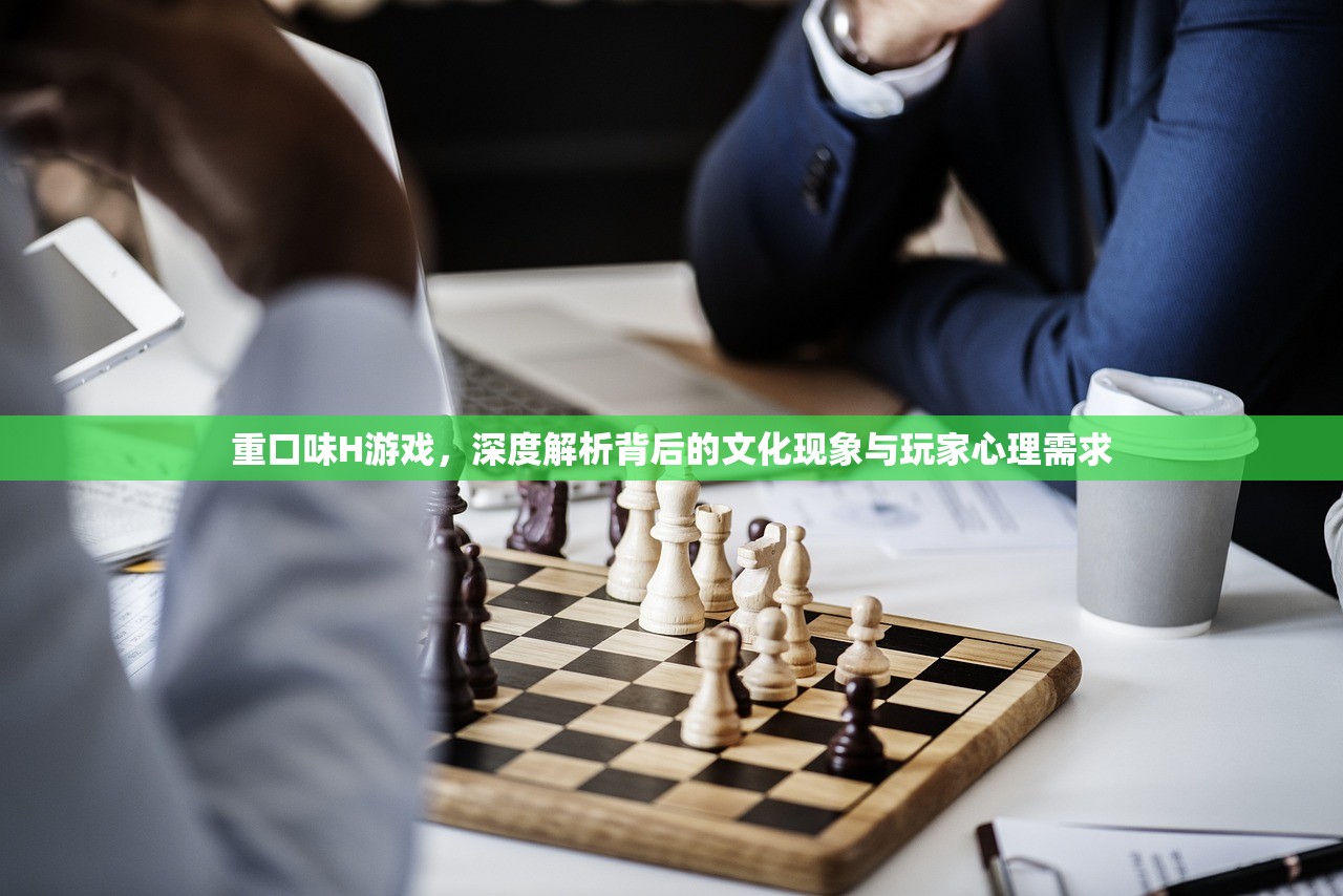 重口味H游戏，深度解析背后的文化现象与玩家心理需求