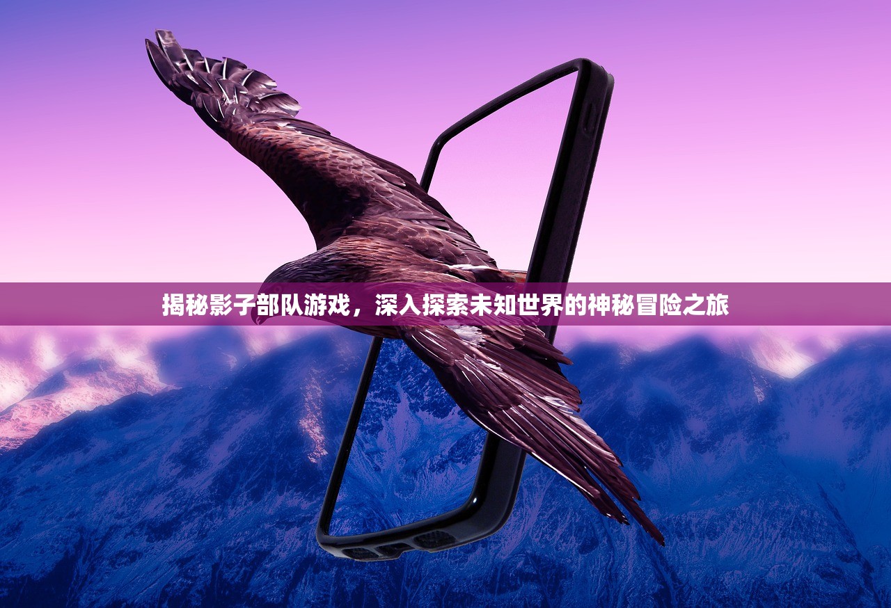 揭秘影子部队游戏，深入探索未知世界的神秘冒险之旅