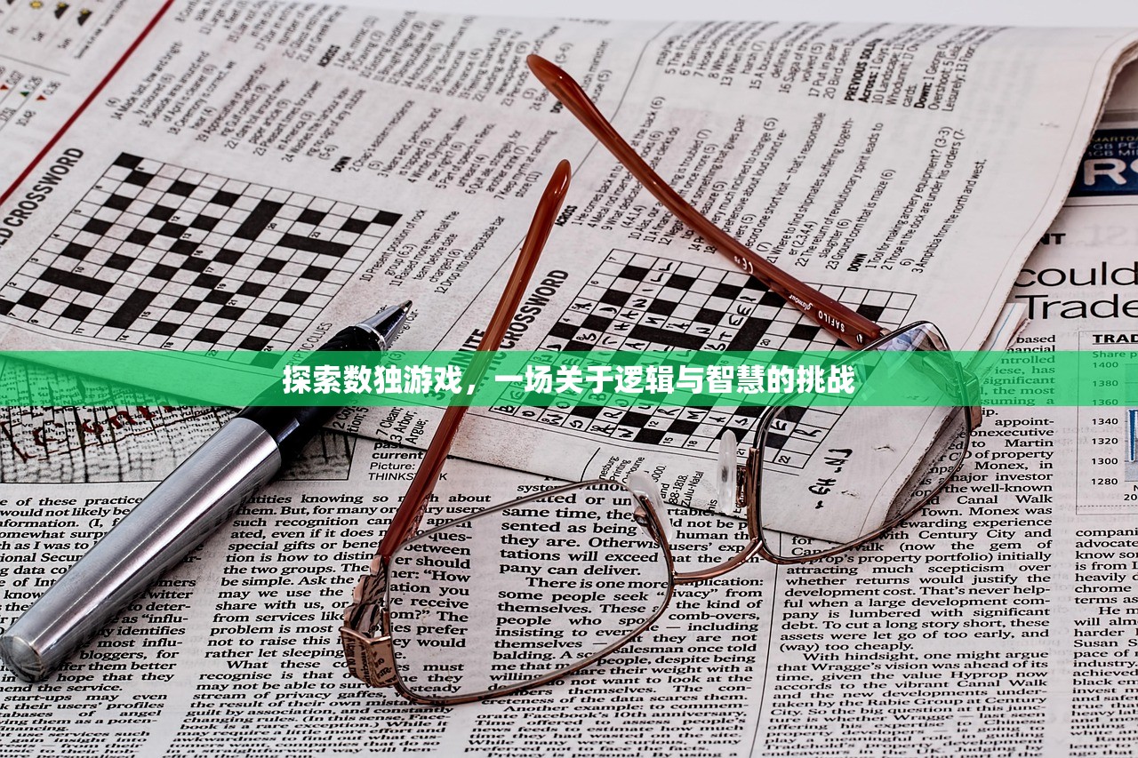探索数独游戏，一场关于逻辑与智慧的挑战