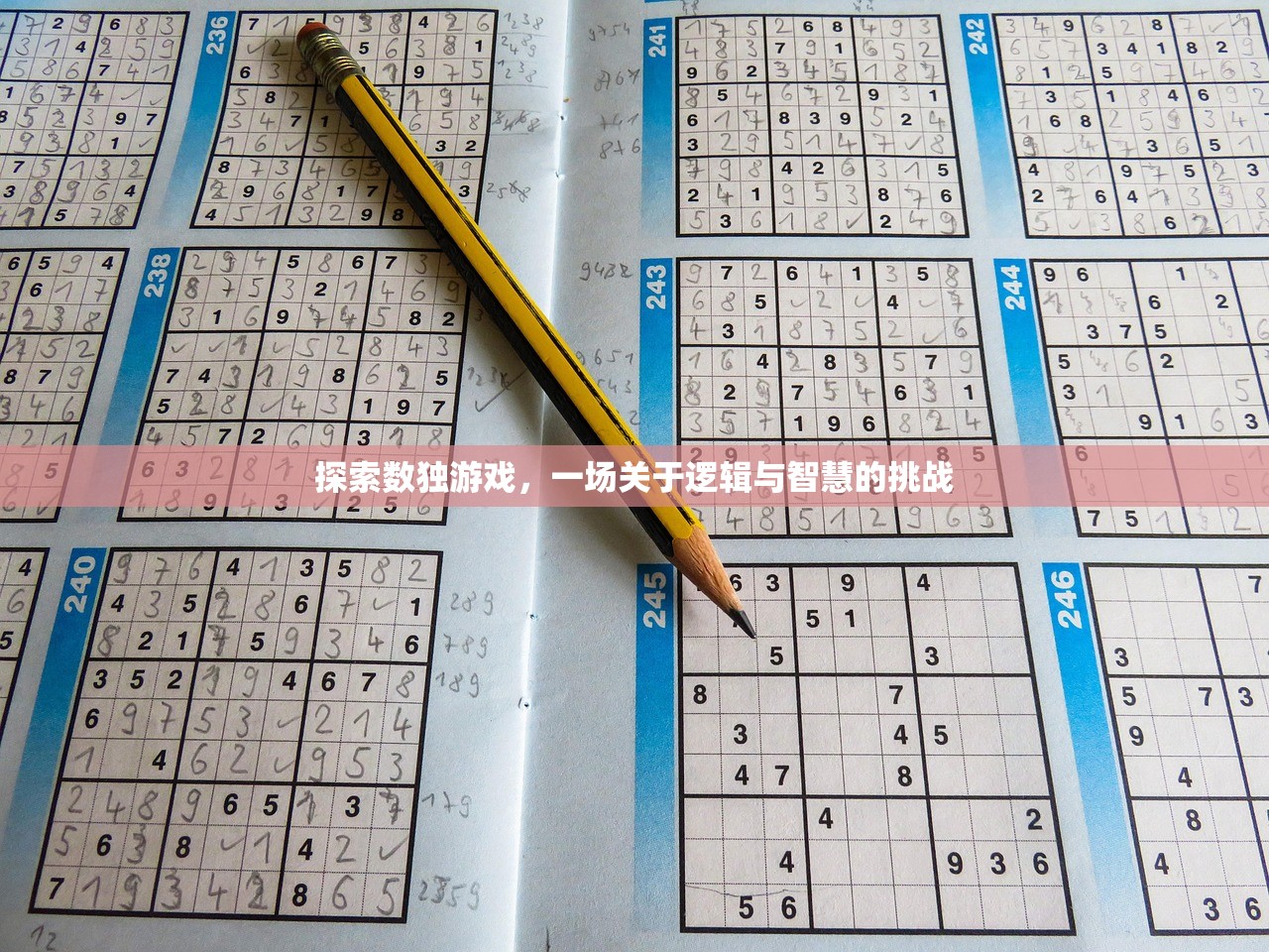 探索数独游戏，一场关于逻辑与智慧的挑战