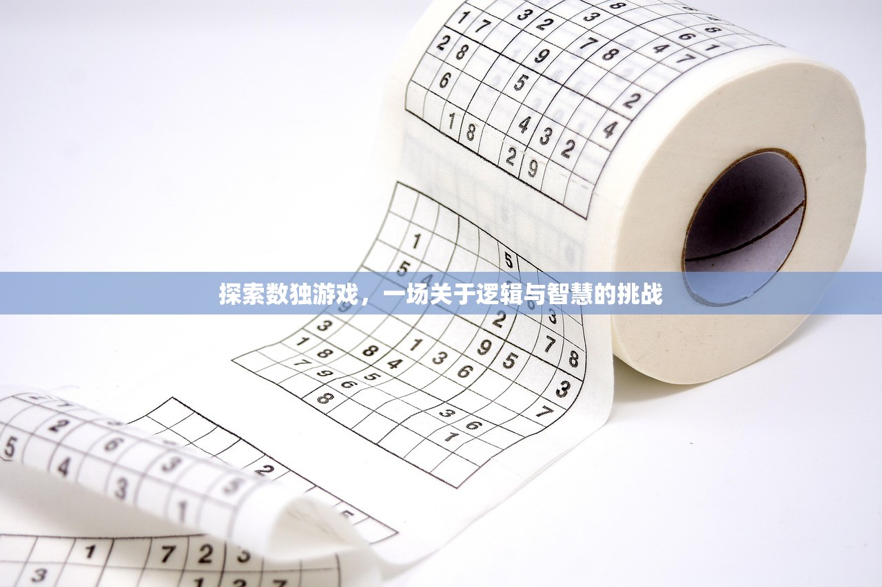 探索数独游戏，一场关于逻辑与智慧的挑战