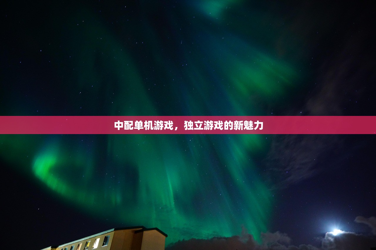中配单机游戏，独立游戏的新魅力