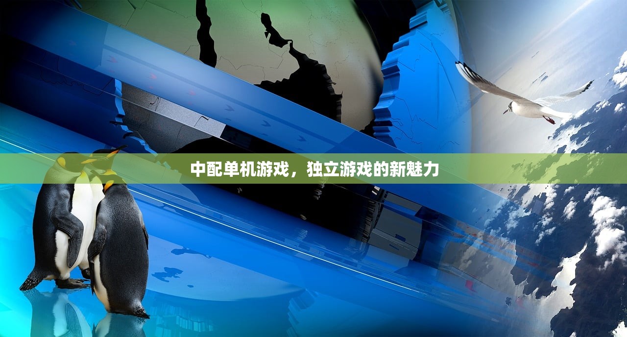 中配单机游戏，独立游戏的新魅力