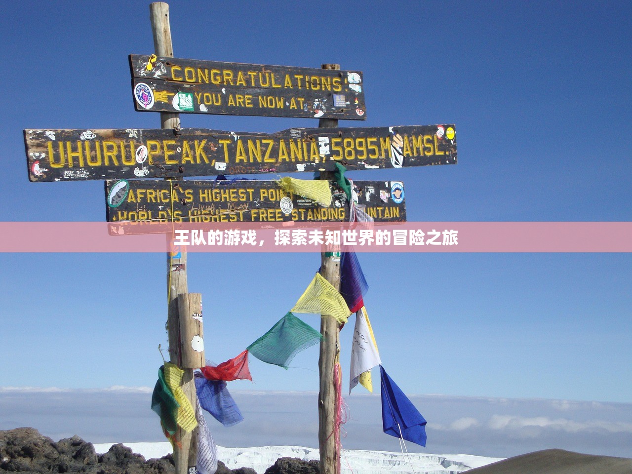王队的游戏，探索未知世界的冒险之旅