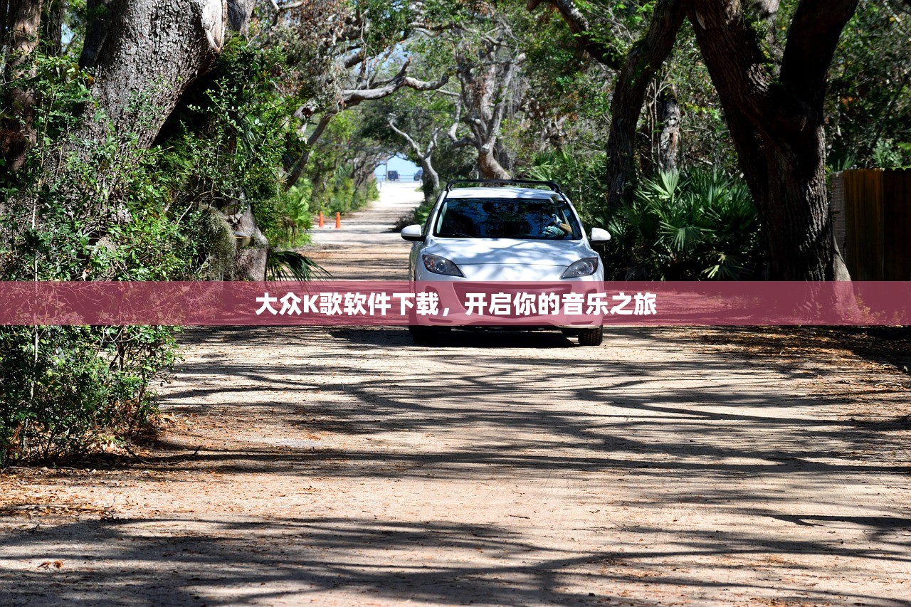 大众K歌软件下载，开启你的音乐之旅