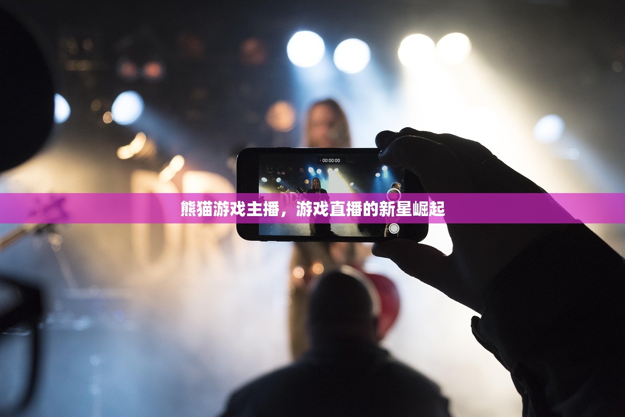 熊猫游戏主播，游戏直播的新星崛起