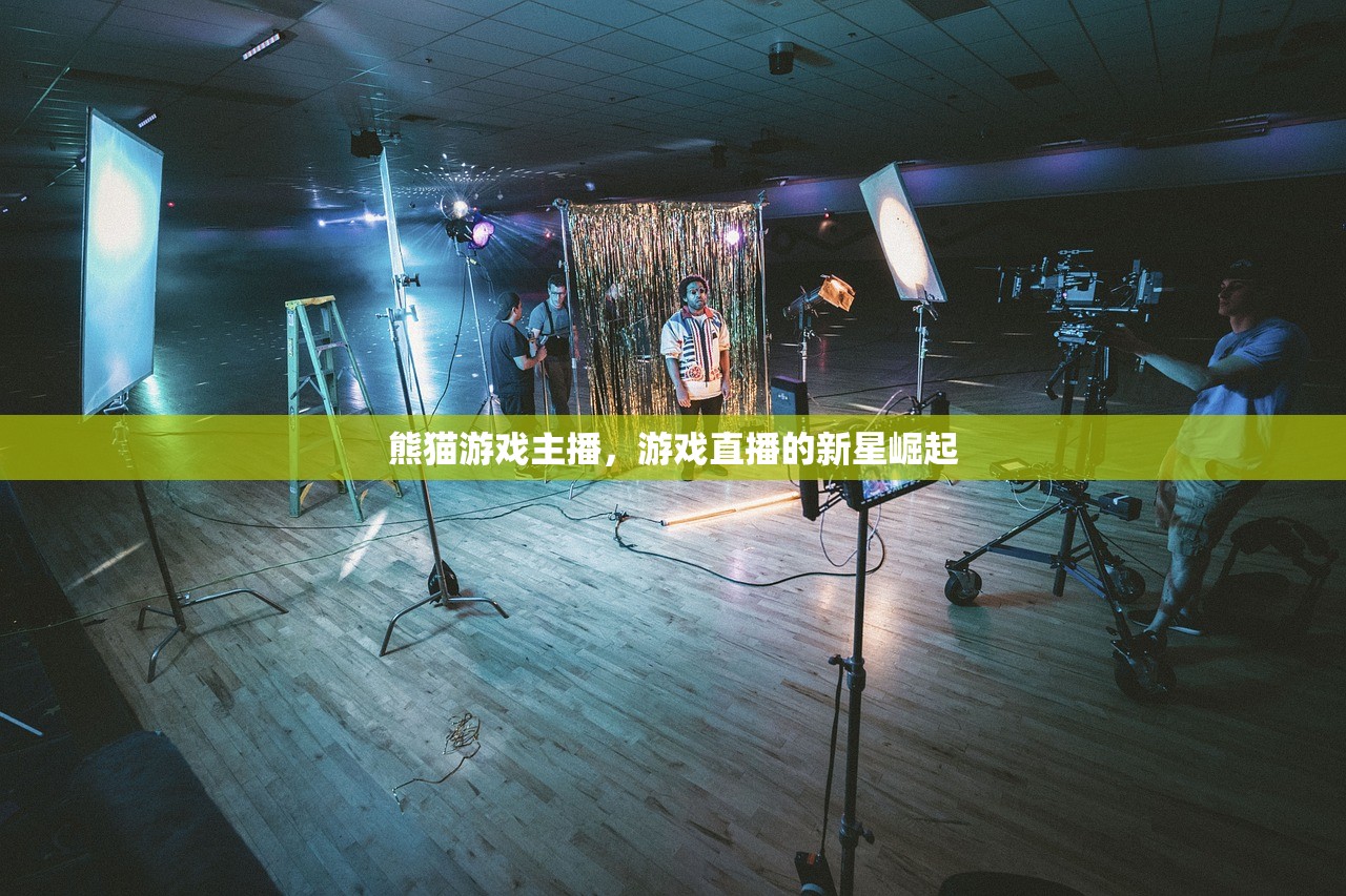 熊猫游戏主播，游戏直播的新星崛起