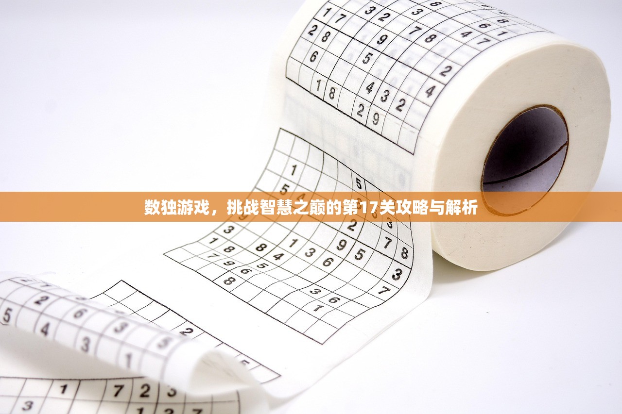 数独游戏，挑战智慧之巅的第17关攻略与解析