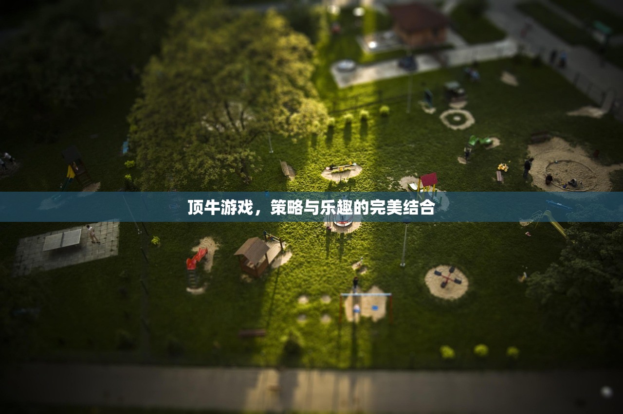 顶牛游戏，策略与乐趣的完美结合