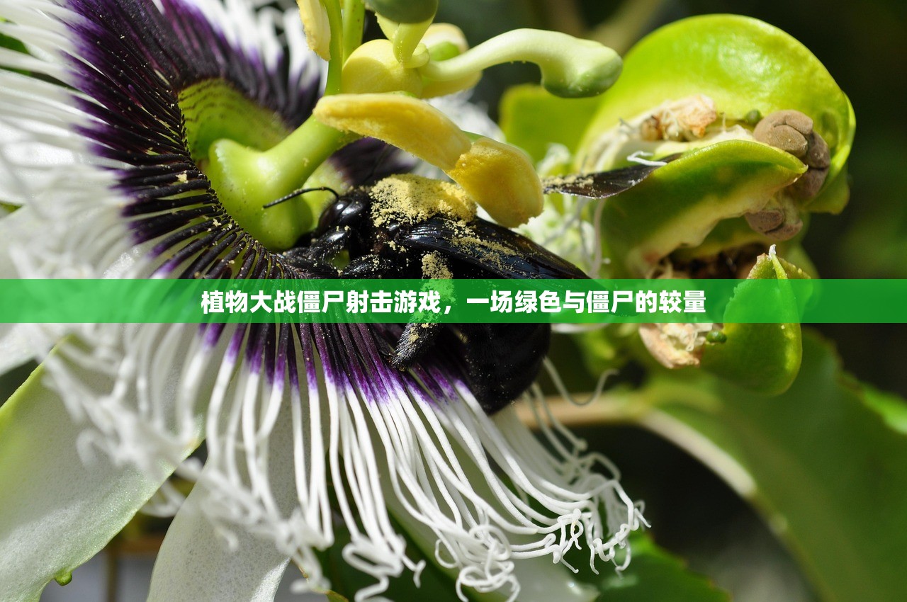 植物大战僵尸射击游戏，一场绿色与僵尸的较量